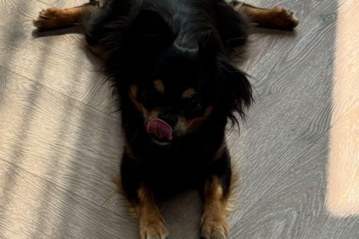 Pablo