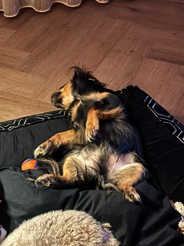 Pablo