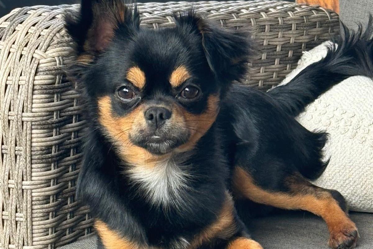 Pablo