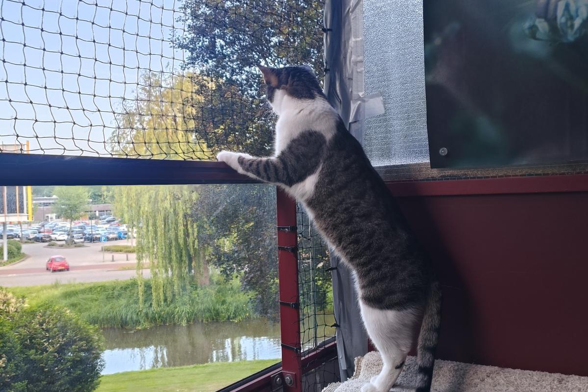 Kiki