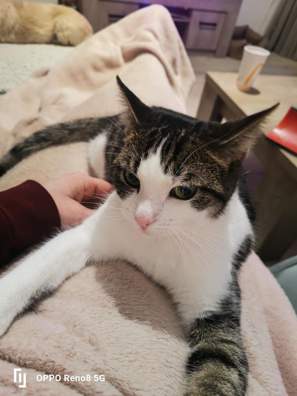 Kiki