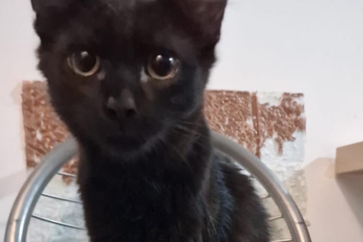 Sabrina