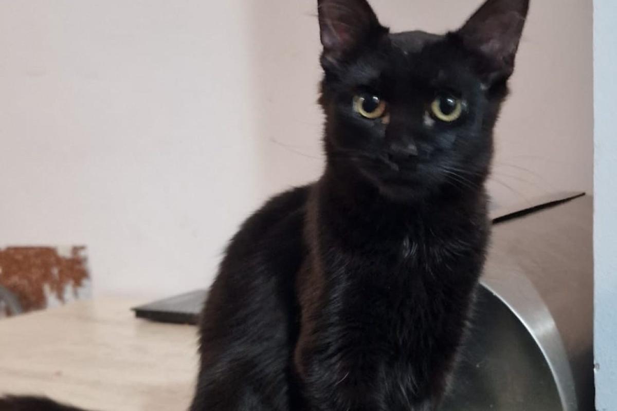 Sabrina