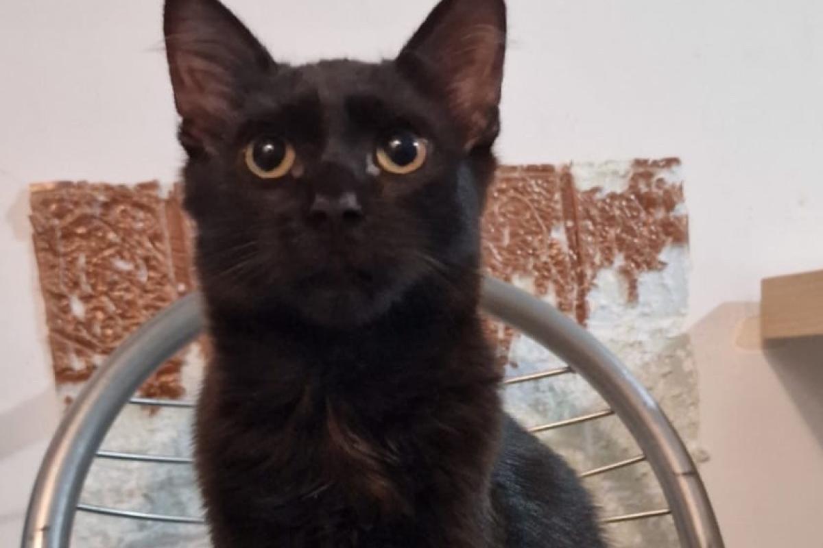Sabrina