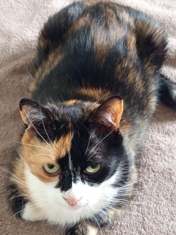 Odette
