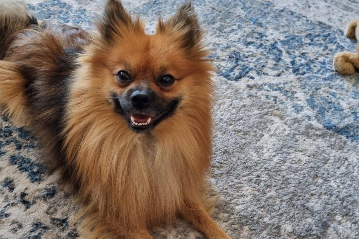Milo