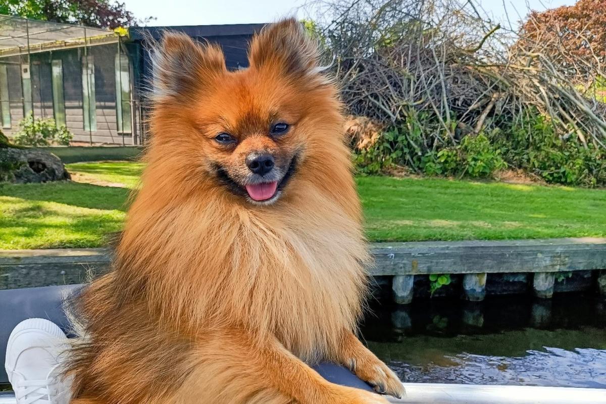 Milo