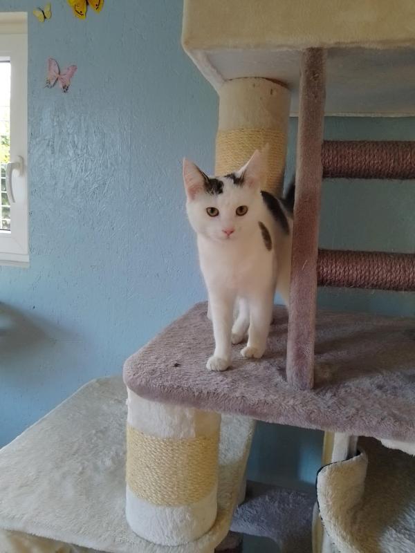 Missy