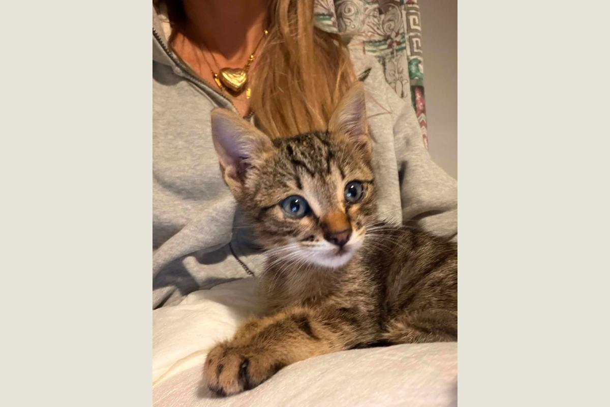 Gigi (L)
