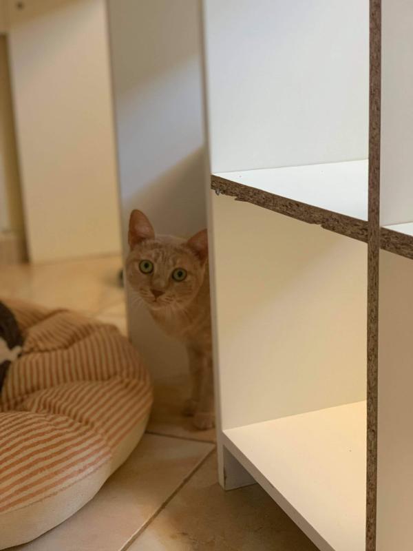 Margo