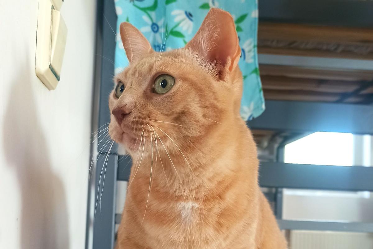 Margo