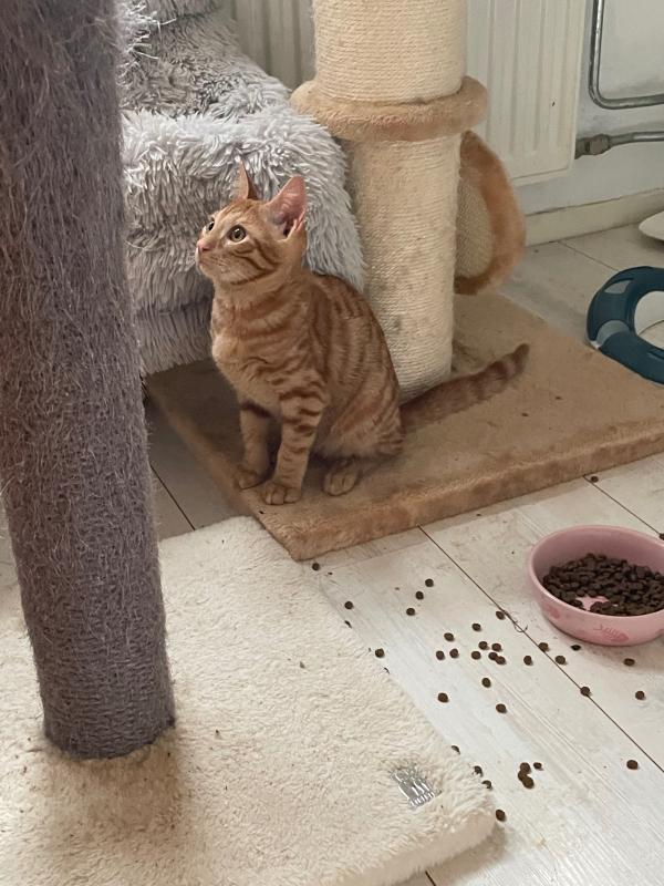 Marco
