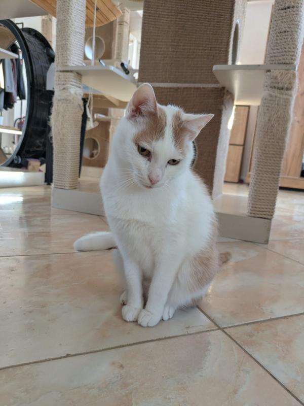 Petey