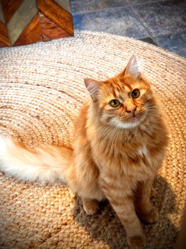 Charlie