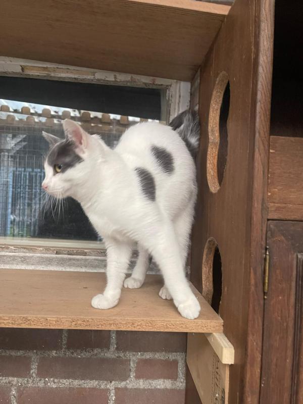 Tasos