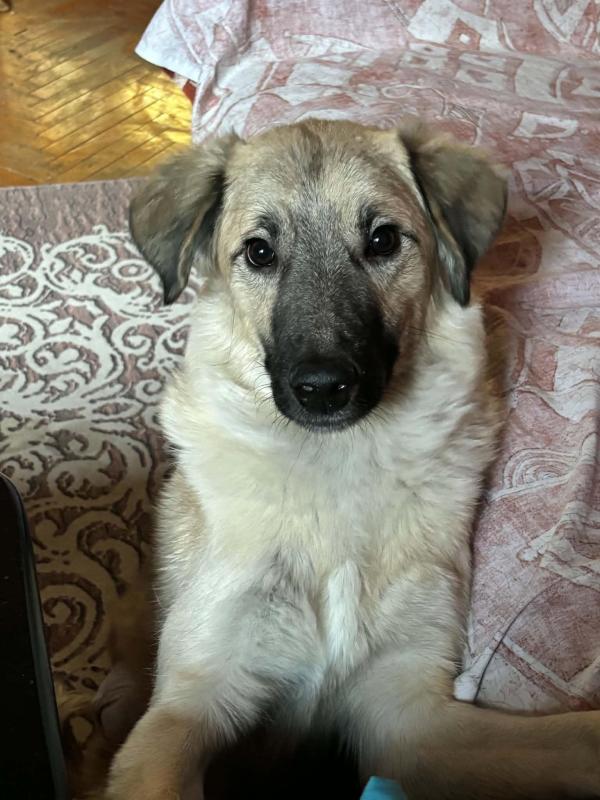 Mali