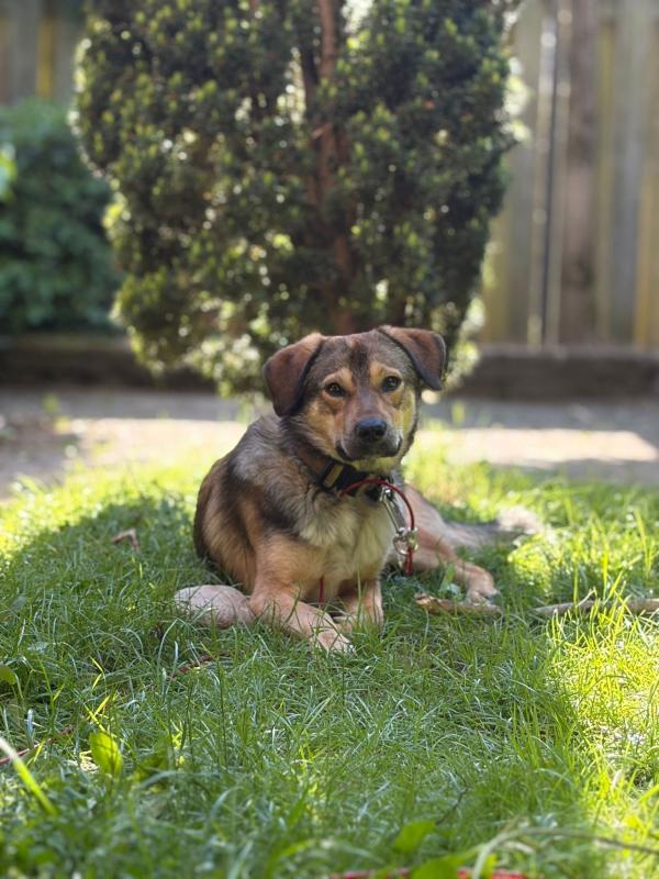 Duco