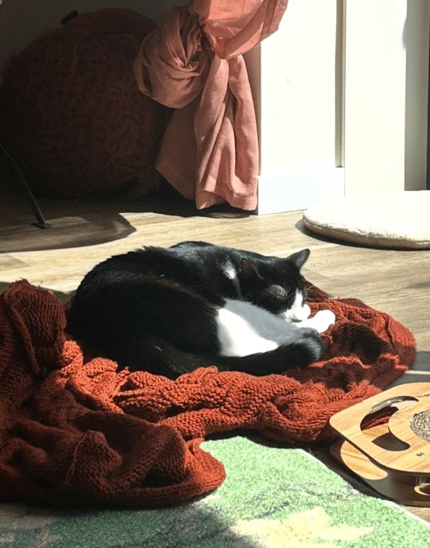Benji