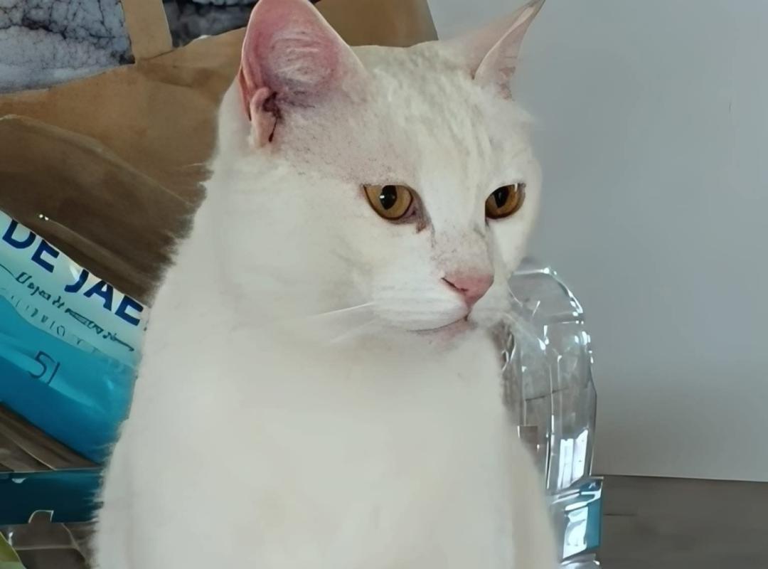 Alma