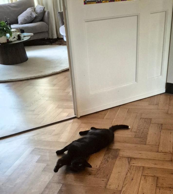 Tippie