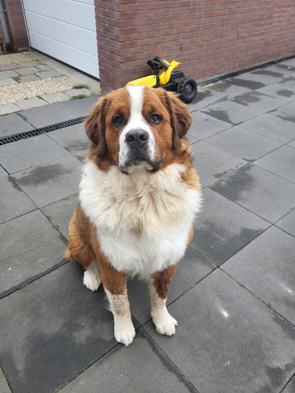 Jax