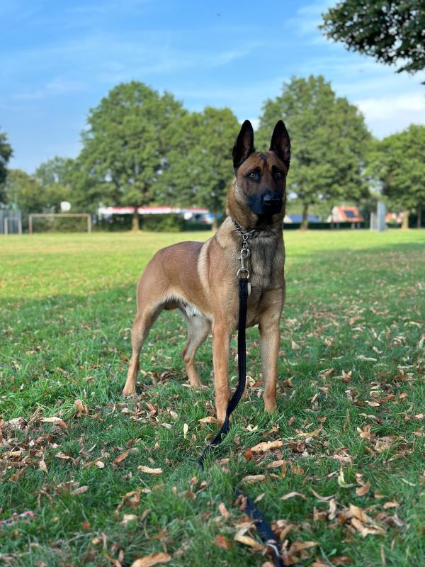 Jax