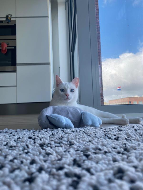 Luna