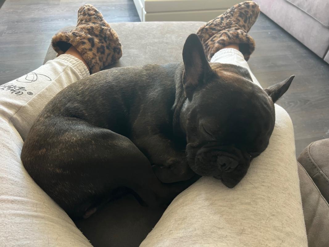 Bo