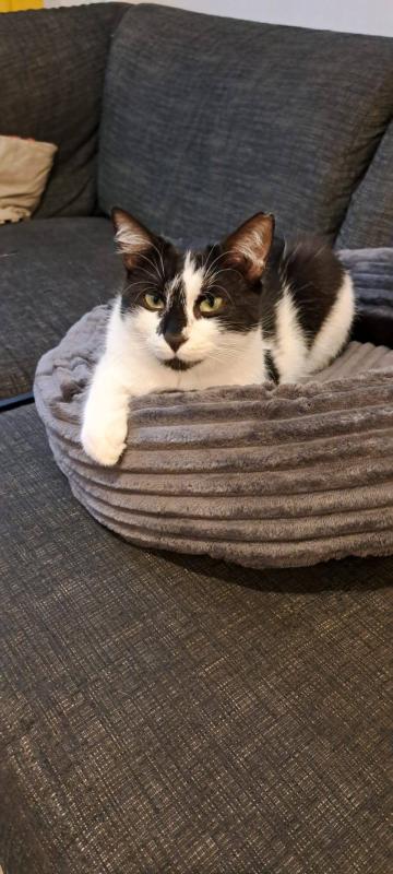 Eloise