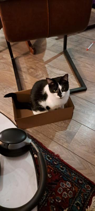 Eloise
