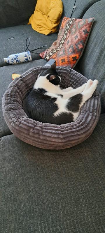 Eloise
