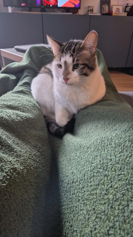 Marcel
