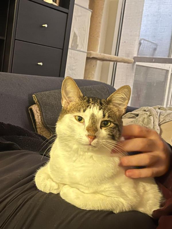 Marcel