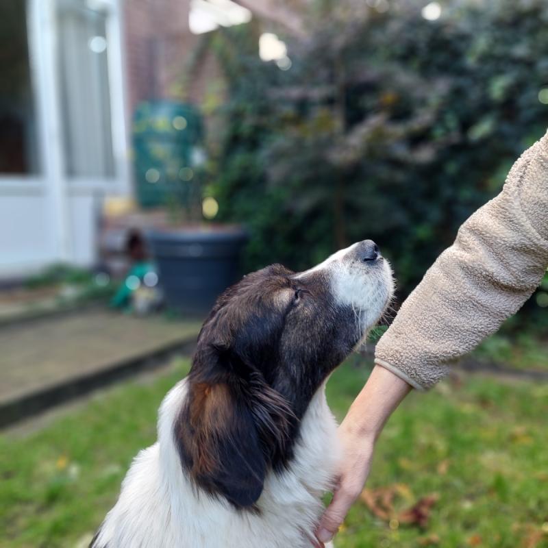Maggie