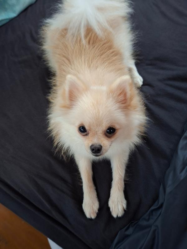 Zoe