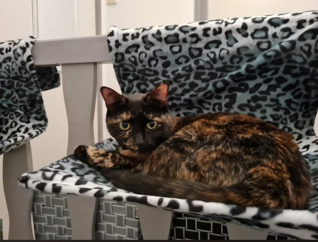 Zina
