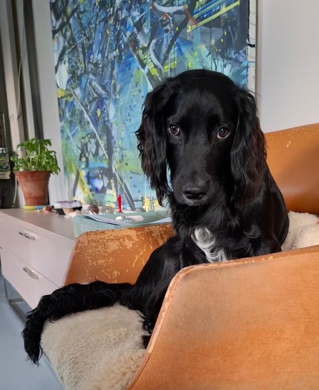 Asta