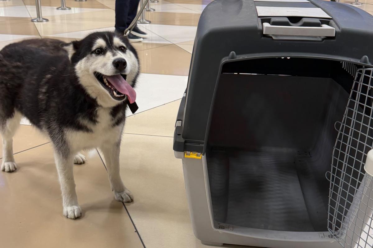 Luna