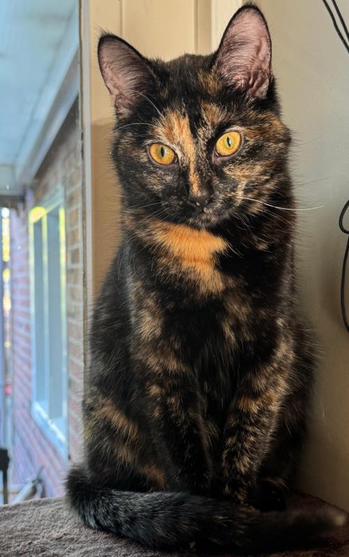 Marley