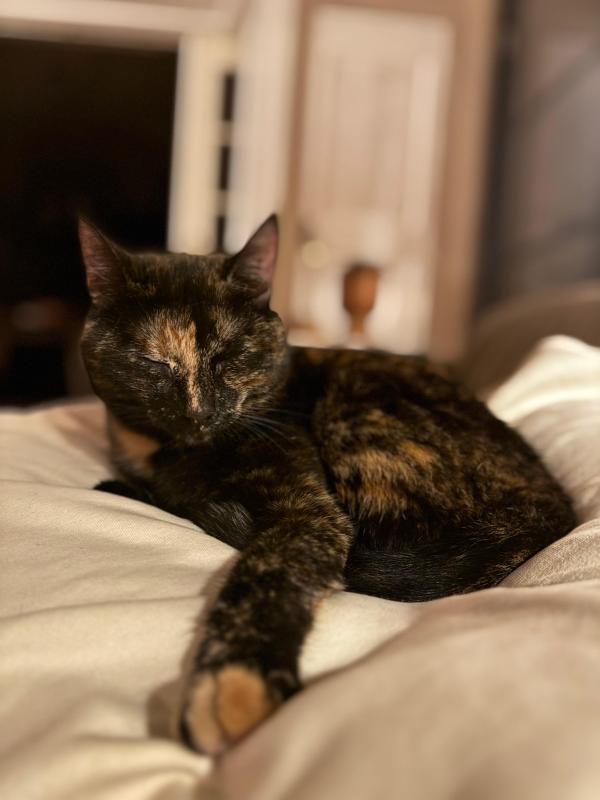 Marley