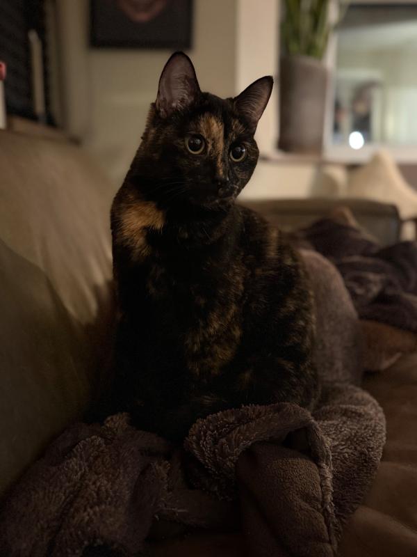Marley