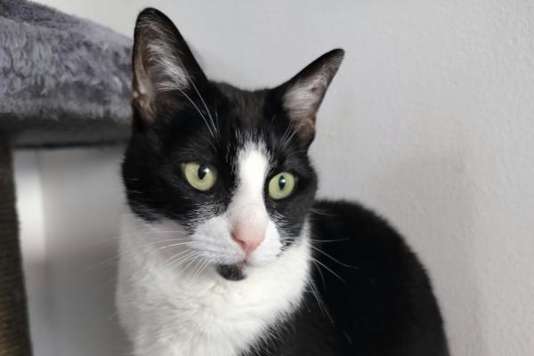 Nikè