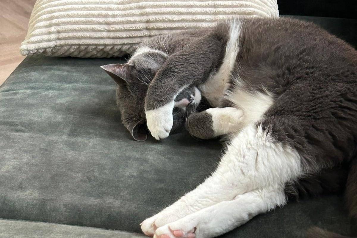 Binky