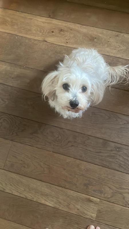 Spunky