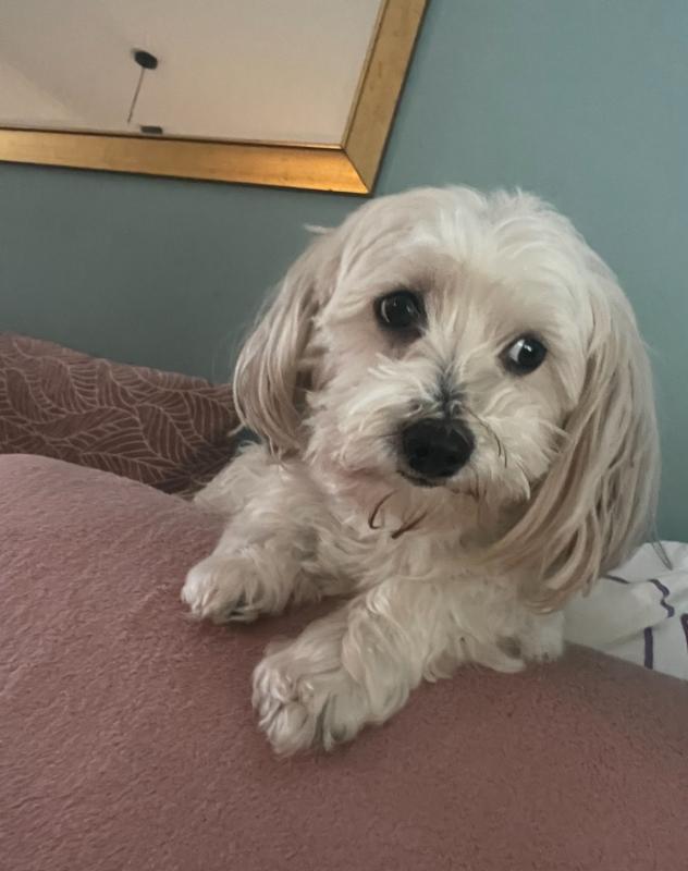 Spunky
