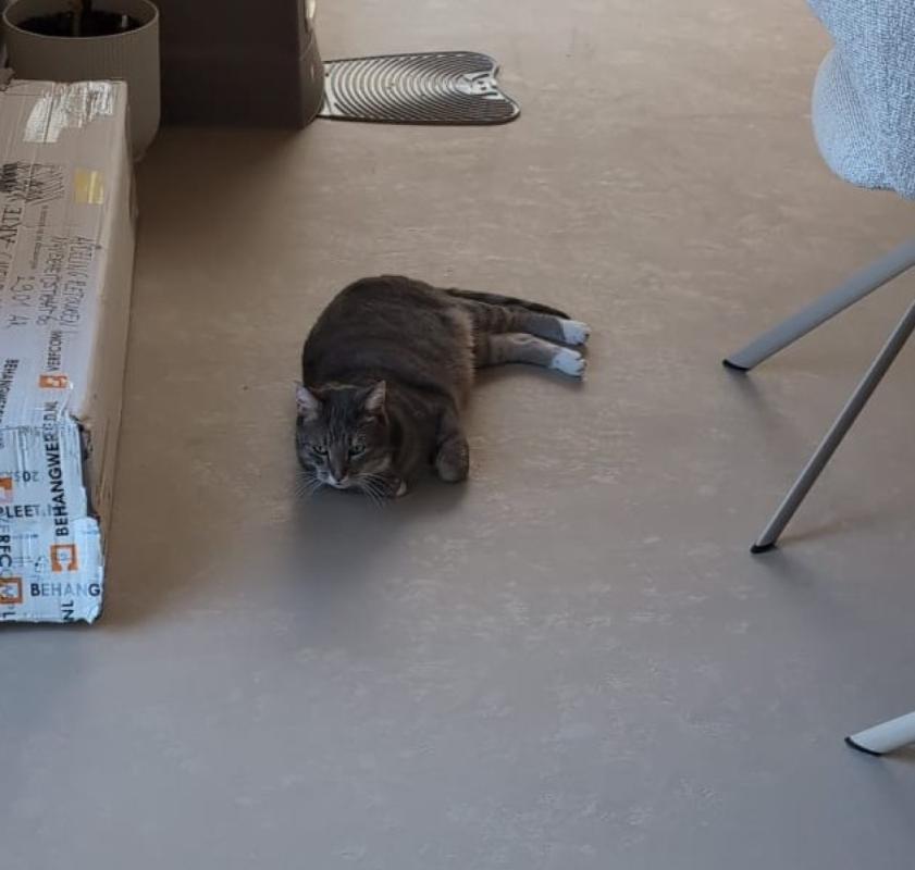 Pepper