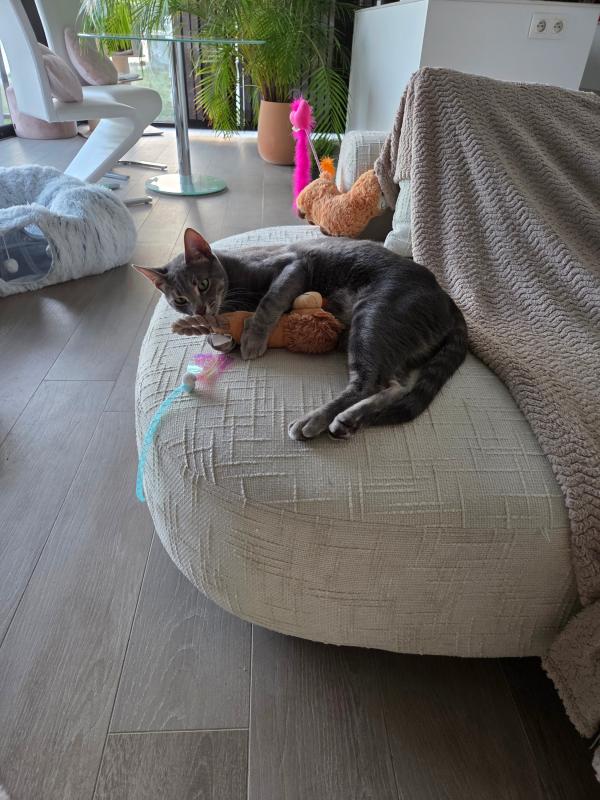 Coco