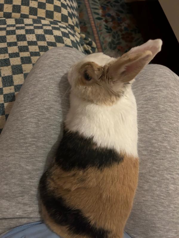 Sam