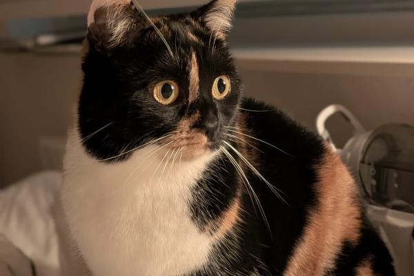 Billie