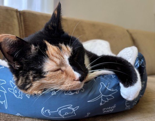 Loesje